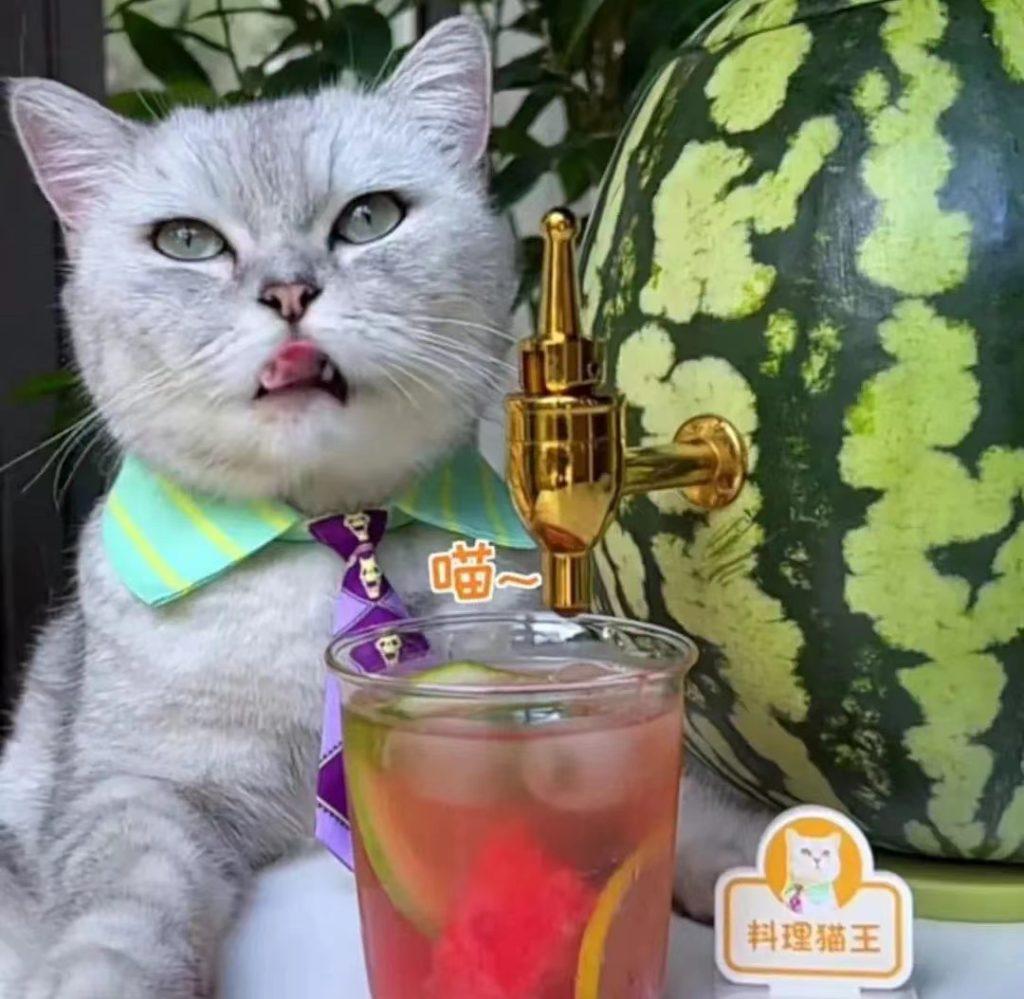 pet market in china using pet for commercials 