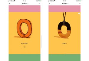 Chinese social media Wechat Hermes