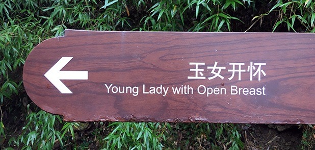 Lost in Translation