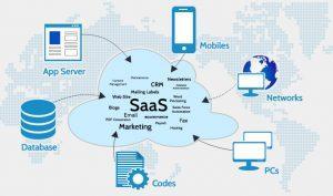 professional translators in saas