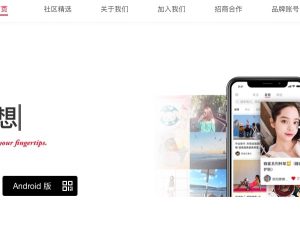 chinois ecommerce