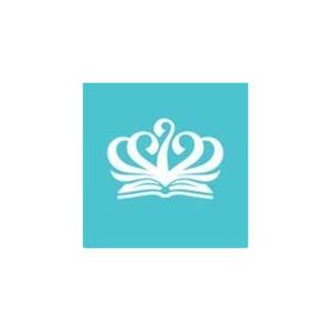 Website Service icon