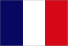 france ecommerce market translation localization