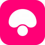 ecommerce chinese platforms mogu jie
