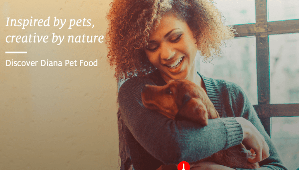 simultanesous interpreting shanghai pet food