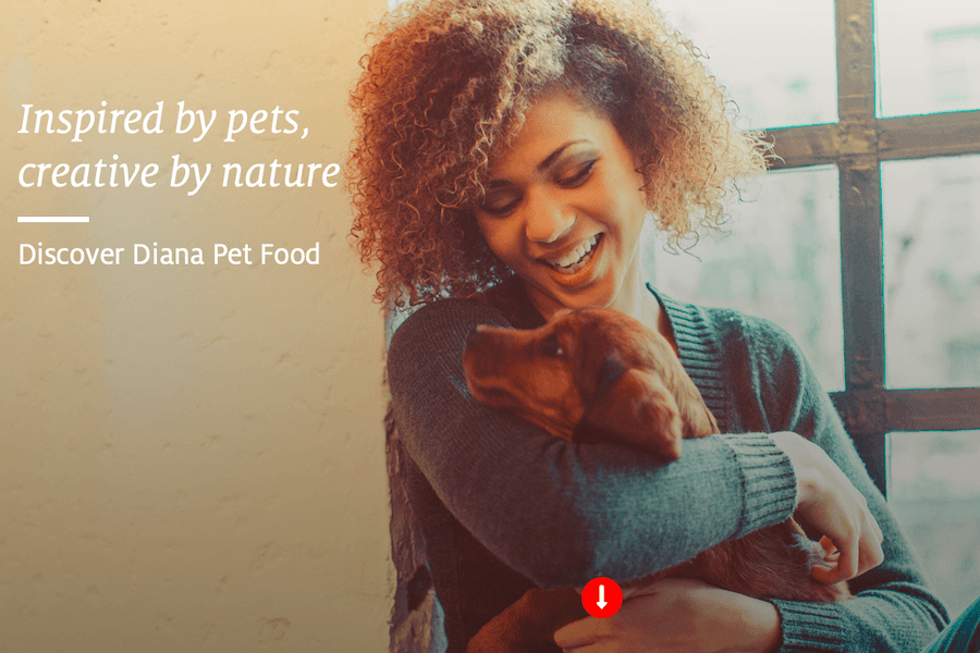 simultanesous interpreting shanghai pet food