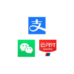 chinese website translation payment options