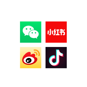 chinese website translation and localization social media