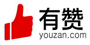 youzan wechat online store