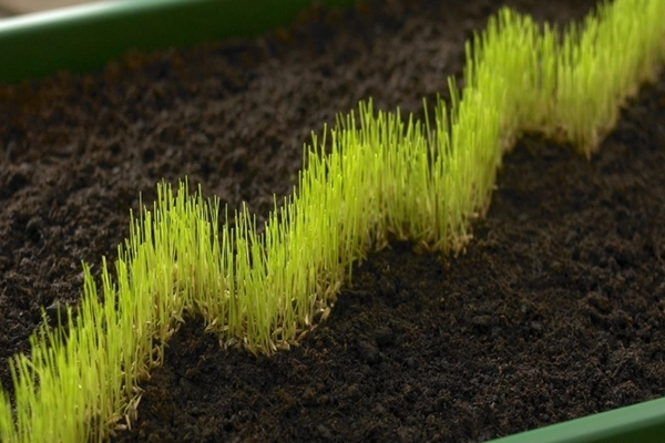 Contribuer à la croissance de votre entreprise Il est difficile de développer et de faire évoluer son entreprise avec des données limitées. Pour chaque campagne publicitaire sur laquelle nous travaillons, nous nous assurons que vous disposez de données importantes. Nous nous assurerons de suivre votre retour sur investissement et nous vous fournirons des rapports qui vous aideront à déchiffrer ces informations au mieux.