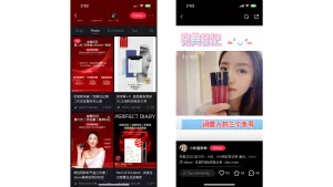 Le Livestreaming dans le marketing de perfect diary